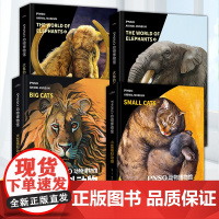 PNSO动物博物馆 大象的世界1+2 大小型猫科动物 纸上动物博物馆 6-14岁青少年儿童动物百科 动物世界 精装科普