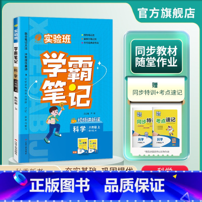 科学 六年级上 [正版]2024年秋 小学实验班学霸笔记六年级科学上册教科版 6年级上册JK版笔记重难点方法规律思维模型