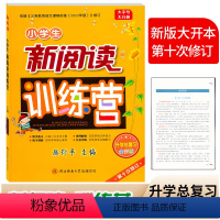 新阅读训练营 [全彩版] 六年级 [正版]小学生新阅读训练营 升学总复习 腾衍平主编/第十次修订 小升初语文阅读理解专项