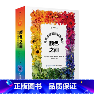 颜色之间 [正版]儿童艺术培养色彩百科任选 嗨快来设计一辆车摩天大战五彩缤纷的世界儿童艺术大书 3-8岁色彩百科艺术绘本