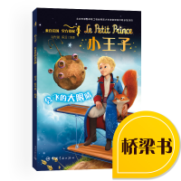 正版新书]会飞的大眼睛-小王子刘甜甜9787515916842