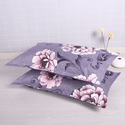 SleepyBear一对装枕套水洗棉单人卡通枕芯套枕头套48x74cm双人大号颈椎记忆