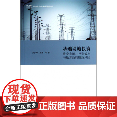 基础设施投资(资金来源投资效率与地方政府财政风险)/城市