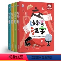 [4册]这就是汉字 [正版]这就是汉字4册 儿童有趣的识字书 小学生课外阅读书籍 有故事的汉字幼儿园学前启蒙早教3-6-