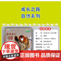 [正版]韩国引进正版 儿童成长之路绘本全30册全套0-3岁宝宝书籍亲子阅读1岁故事书2幼儿园益智启蒙书本5早教睡前故