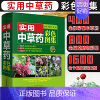 [正版]实用中草药彩色图集张晓燕谢勇 原植物图谱中草药中药材彩色图谱本草纲目中医学书籍中草药专业大全图鉴中医学书籍中草药
