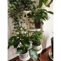 北欧花架客厅现代花架子简约绿萝落地式轻奢多层置物架室内花盆架 三层黑色 特大