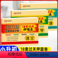 小学升初中 18套真题卷+毕业总复习(语文+数学+英语)6本 [正版]2024小升初真题卷语文数学英语试卷必刷题人教版小