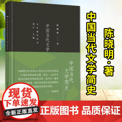 中国当代文学简史 陈晓明著 中国社会科学出版社 文艺通识丛书