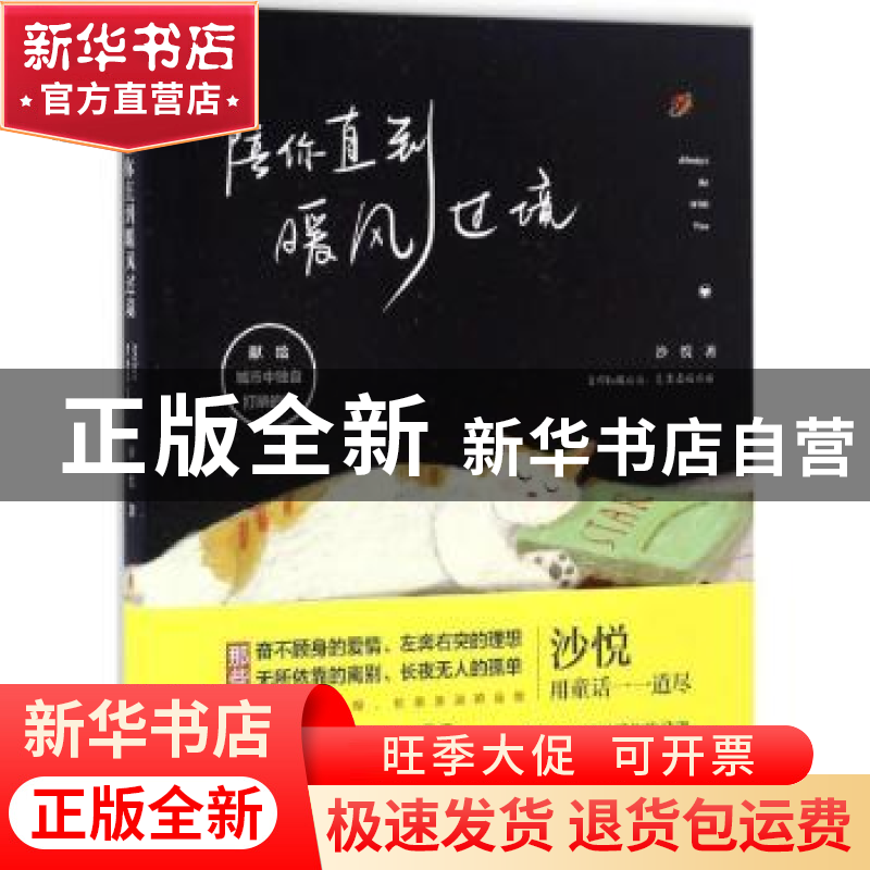 正版 陪你直到暖风过境 沙悦著 广东人民出版社 9787218114002 书
