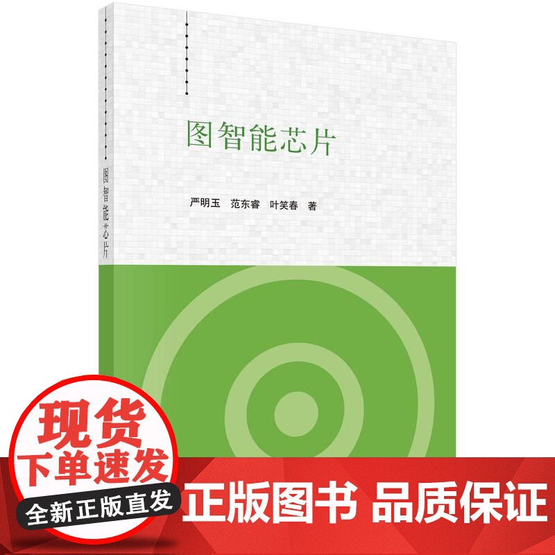 [按需印刷]图智能芯片