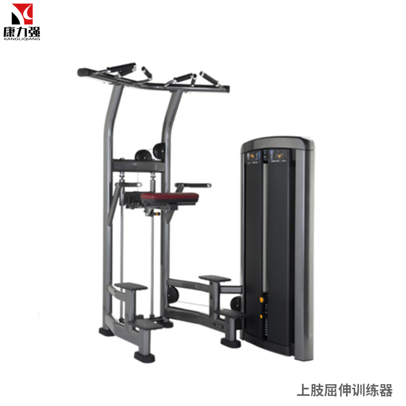 康力强LS506商用助力式单双杠辅助引体向上臂屈伸训练局部型力量器械