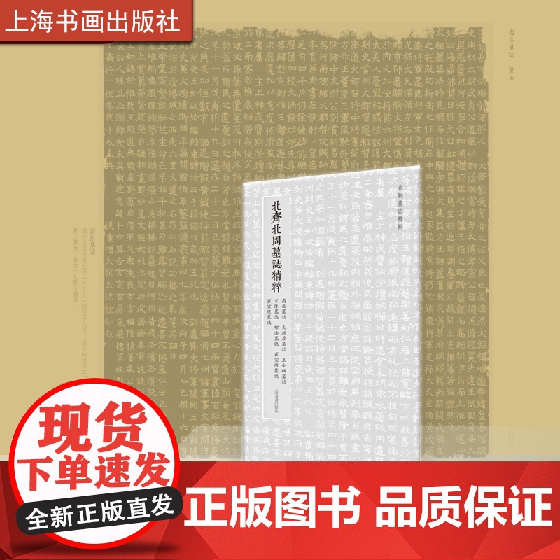 北齐北周墓志精粹高岳墓志长孙彦墓志王令妫墓志宋休墓志邢法墓志崔宣靖墓志崔宣默墓志 上海书画出版社