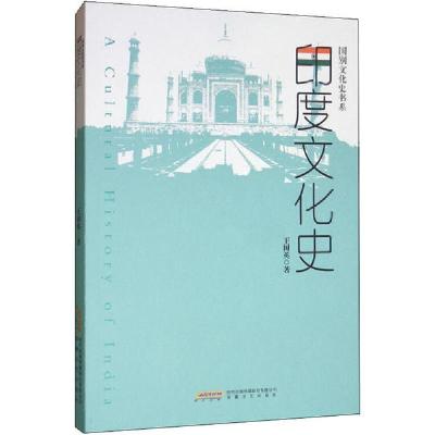 正版新书]印度文化史王树英9787539664538