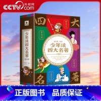 少年读四大名著 [正版]央视网少年读四大名著 红楼梦+西游记+水浒传+三国演义四册 11-14岁 97875695257