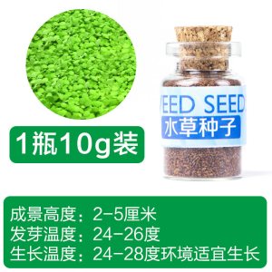 鱼缸水种籽不用泥的水种子牛毛毡珍珠水造景懒人水植物