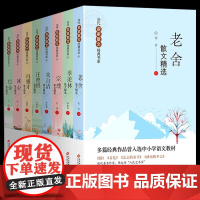当代名家散文集精选初中 全8册 朱自清冰心季羡林汪曾祺老舍当代名家散文经典书系青少版 多篇经典作品曾入选中小学语文教材