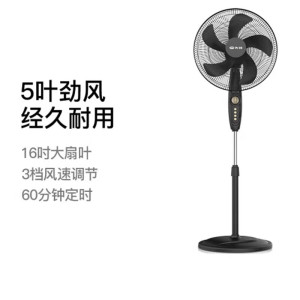 先锋SINGFUN智能电风扇落地扇FS40-21B大角度摇头风力强劲设计时尚