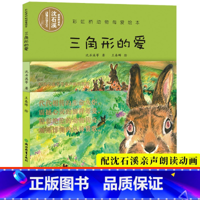 [正版]视频朗读版三角形的爱 彩虹桥动物母爱绘本 沈石溪动物小说系列单本儿童书籍0-3-6岁宝宝早教启蒙认知书睡前故事