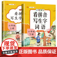 2022版 汉之简看拼音写词语生字注音六年级上册下册部编人教版小学生6年级上下册学期语文教材同步专项训练默写能手组词造句