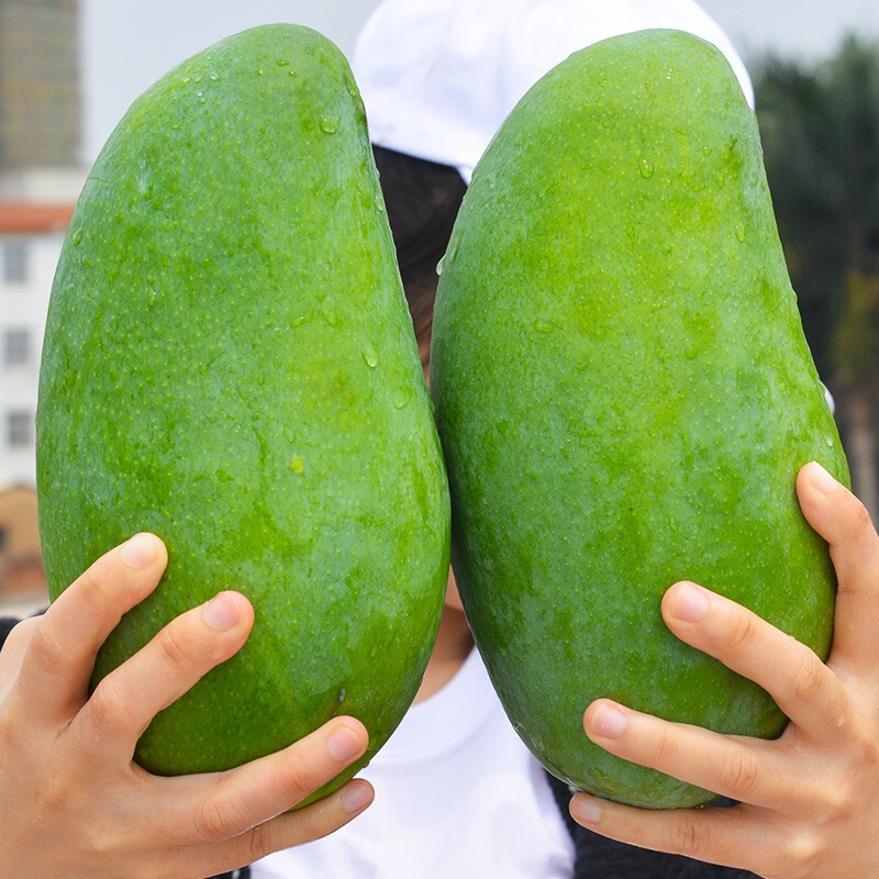 鲜木 越南大青芒 现摘甜心芒果 新鲜时令水果 孕妇水果 爆甜多汁9斤装