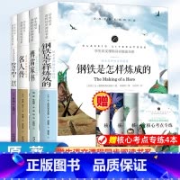 钢铁+傅雷+名人+给青年的十二封信[全套4册 考点] [正版]傅雷家书原著完整版无删减 八年级必读课外书名著老师 适