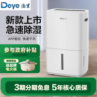 德业(Deye)除湿机家用 DYD-L48A3 48升/天 家用卧室地下室复式别墅商用工业吸湿器