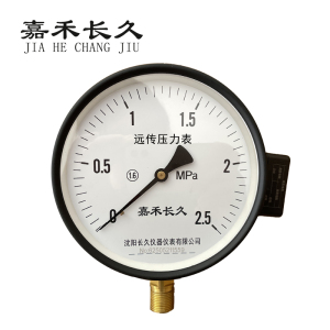 嘉禾长久 远传压力表检测型 YTZ150 块