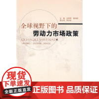 全球视野下的劳动力市场政策 沈琴琴 中国劳动社会保障出版社 正版书籍
