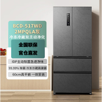 容声517升双净法式多门四开门超薄零嵌入式电冰箱家用一级能效风冷无霜节能BCD-517WD2MPQLA灰