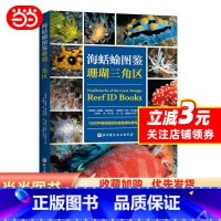 [正版]海蛞蝓图鉴:珊瑚三角区