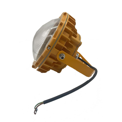 讯博士 FBGZD150 IP66 防爆LED工作灯 (计价单位:盏) 黄色