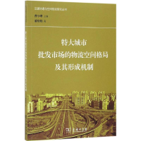 音像特大城市批发市场的物流空间格局及其形成机制潘裕娟 著
