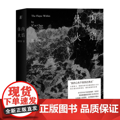 体内火焰 陈思安 当代世界出版社 正版书籍