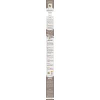 格式塔团体治疗指南