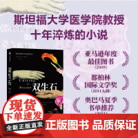 双生石 亚伯拉罕·维基斯 著 小说