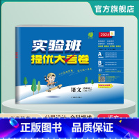 语文 四年级上 [正版]2024年秋 小学语文实验班提优大考卷四年级上册人教版 4年级上册RJ单元基础巩固分层能力提优期
