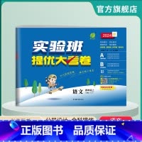 语文 四年级上 [正版]2024年秋 小学语文实验班提优大考卷四年级上册人教版 4年级上册RJ单元基础巩固分层能力提优期