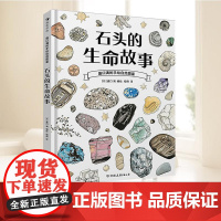 盛口满的手绘自然图鉴:石头的生命故事 7-10岁 石头地质 日本童书研究会 科普百科绘本 浪花朵朵正版