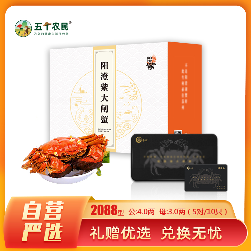 [礼券]阳澄紫牌苏州精品大闸蟹礼券2088型 公蟹4.0两/只 母蟹3.0两/只 5对10只 去绳净重螃蟹礼盒 礼品