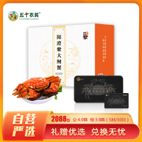 [礼券]阳澄紫牌苏州精品大闸蟹礼券2088型 公蟹4.0两/只 母蟹3.0两/只 5对10只 去绳净重螃蟹礼盒 礼品