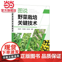 图说野菜栽培关键技术 刘淑芳 化学工业出版社 正版书籍