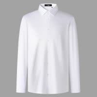 鳄鱼恤CROCODILE 专款男士商务长袖衬衫秋冬纯色衬衣