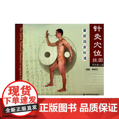 *新国家标准针灸穴位挂图(男性真人版)