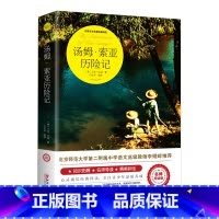 汤姆索亚历险记 [正版]爱的教育六年级必读上册原著完整版意大利亚米契斯著三四五六年级老师必读的课外书小学生阅读书籍文学经