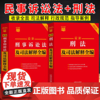 [2本套]最新刑事诉讼法及司法解释全编(2025年版)+最新刑法及司法解释全编(2025年版)中国法制出版社