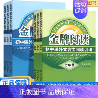 现代文阅读训练 九年级/初中三年级 [正版]2025新版金牌阅读初中课外现代文文言文阅读训练七八九年级上册下册初中初一初