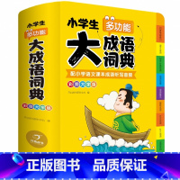 小学生多功能大成语词典(抖音同款) 小学通用 [正版]抖音同款小学生多功能大成语词典大英语词典彩图大开本现代汉语词典组词