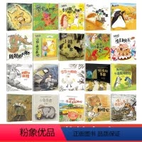 大师获奖绘本第一辑+第二辑20册 [正版]名家获奖动物童话大师获奖绘本 儿童绘本故事书3-6岁 幼儿园大班阅读绘本老师4