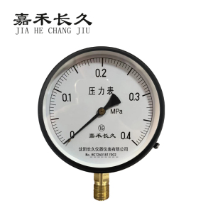 嘉禾长久 压力表检测型 Y150 块